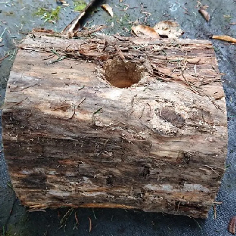 BUCHE DE SUPPORT SAPIN COUPE