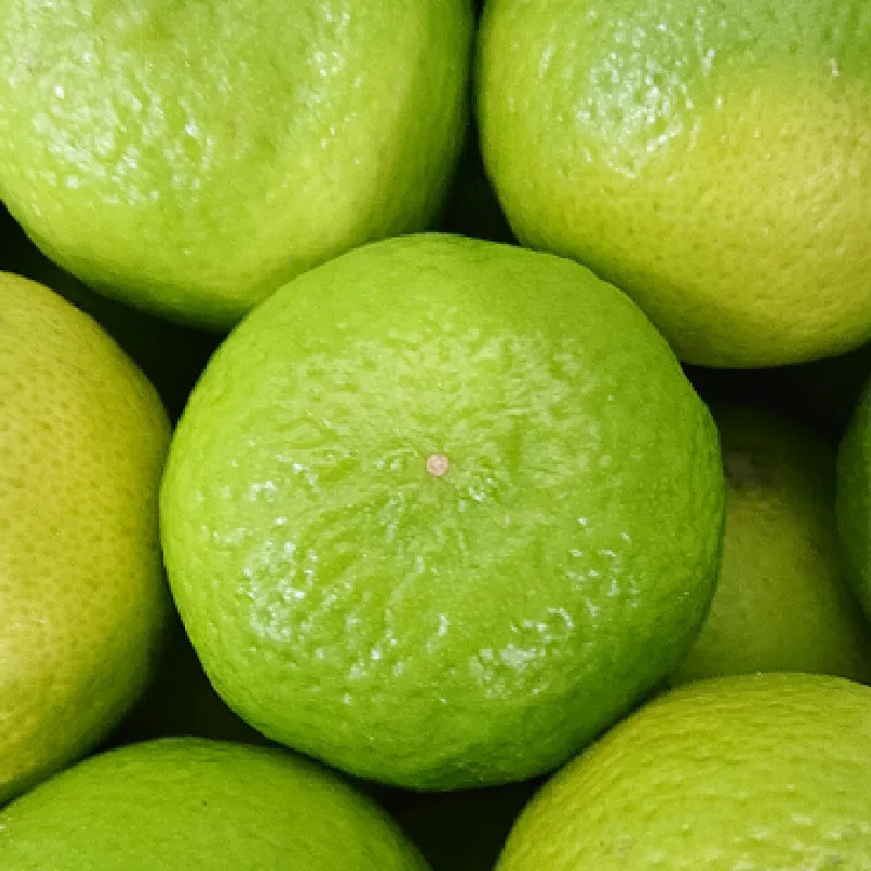 CITRUS latifolia Tahiti (lime)