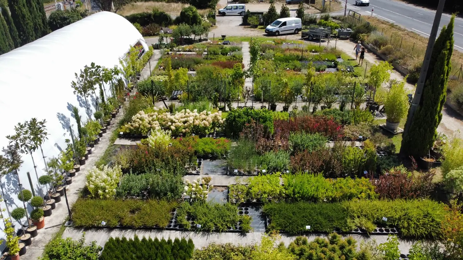 vue a&eacute;rienne p&eacute;pini&egrave;re