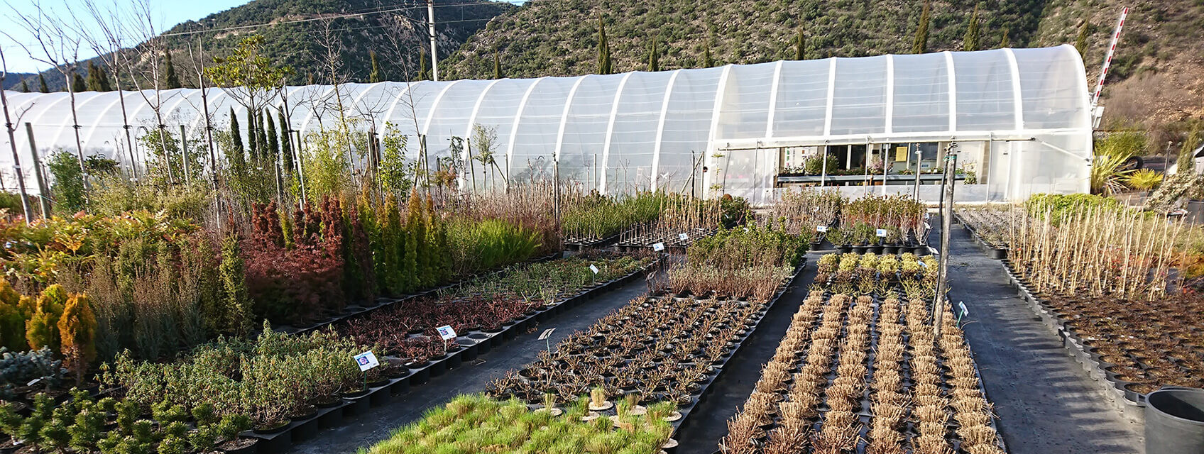 Bienvenue à la Pépinière du Conflent
